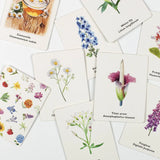 Pick a Flower Memory Card Game